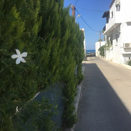 Zannis Rethymno